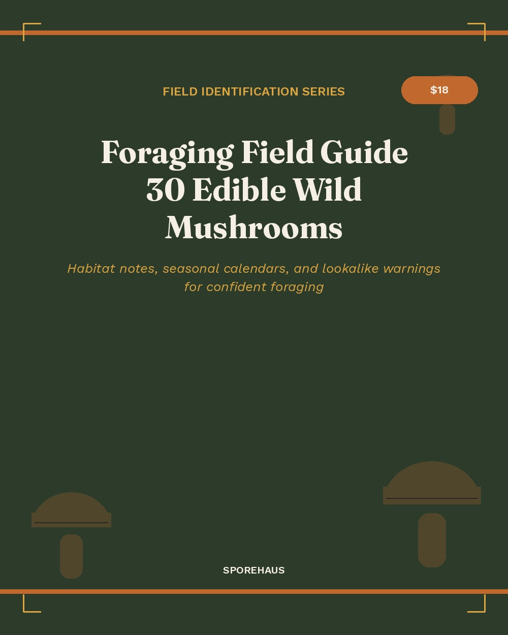 Foraging Field Guide: 30 Edible Wild Mushrooms